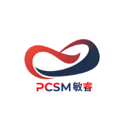 pcsmconsulting